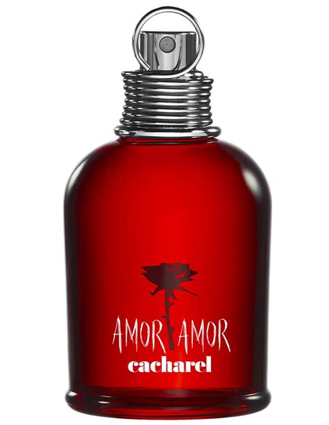 vivavisos amor|viva amor perfume.